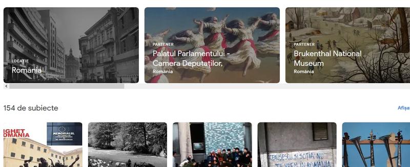 Google Art&Culture Romania, Foto: Hotnews