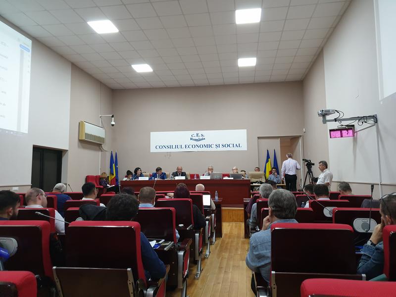 Sedinta CES privind pensiile speciale pentru primari, Foto: Hotnews