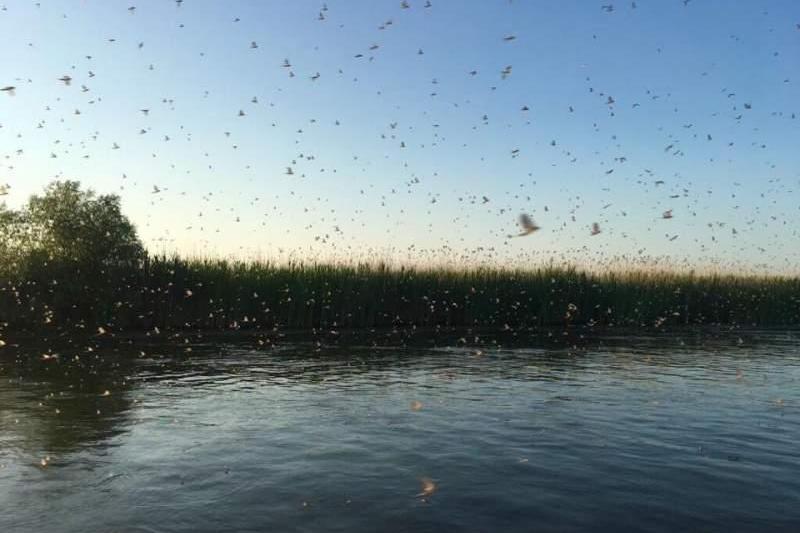 Efemeride, Foto: Hotnews