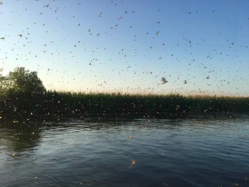 Efemeride, Foto: Hotnews