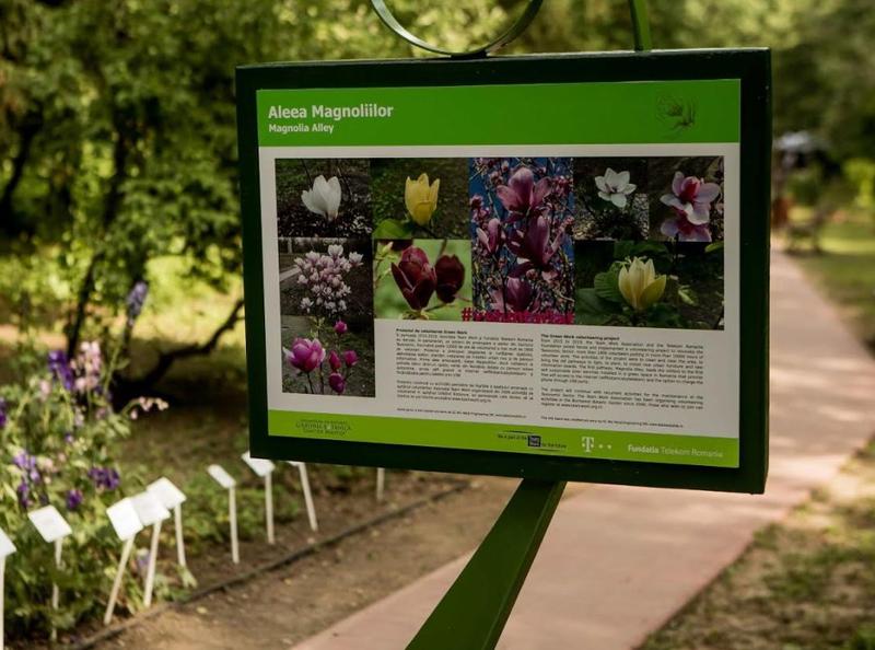 Spatiu verde cu wifi, Foto: Telekom Romania