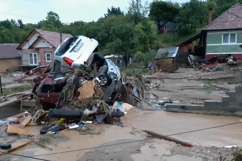 viituri alba, Foto: IGSU