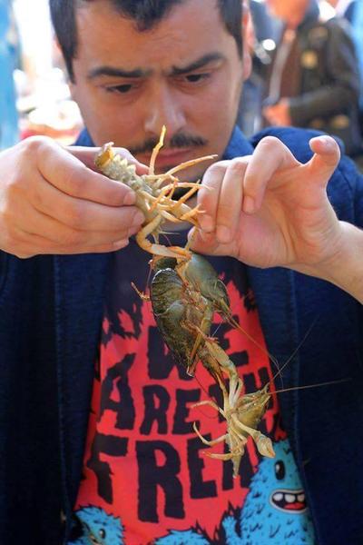 Cosmin Dragomir, Foto: Hotnews