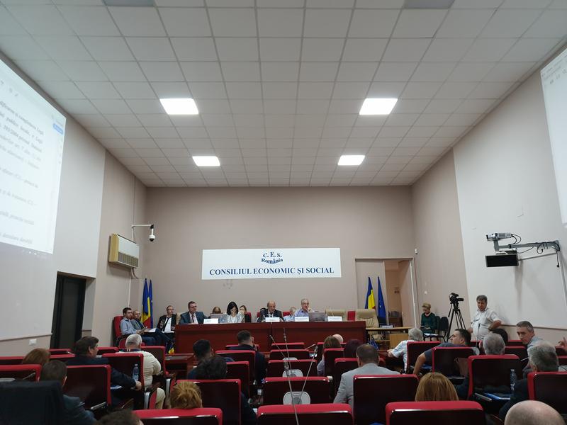 Plenul Consiliului Economic si Social (CES), Foto: Hotnews