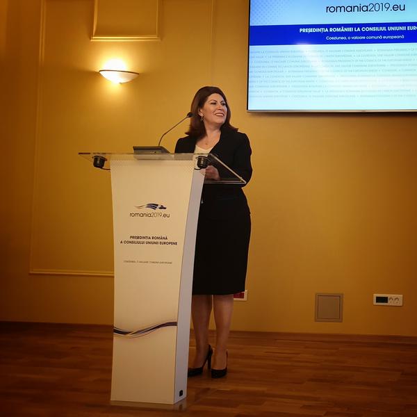 Mirela Calugareanu, presedinte ANAF, Foto: Hotnews