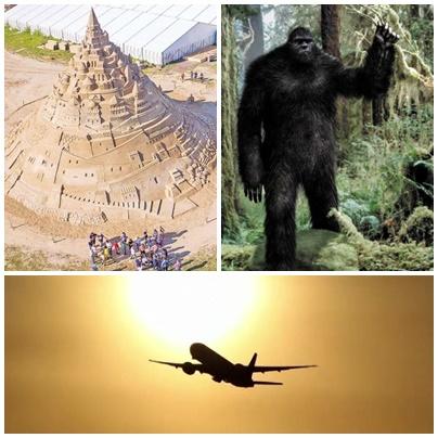 Faze tari, Foto: Colaj foto