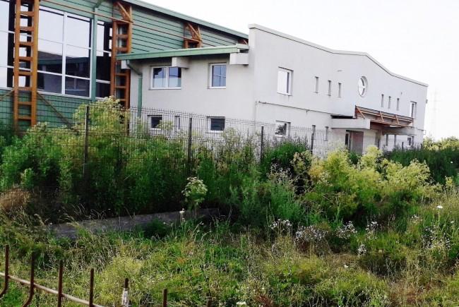 sala de sport napadita de buruieni la Arad, Foto: Arad Online