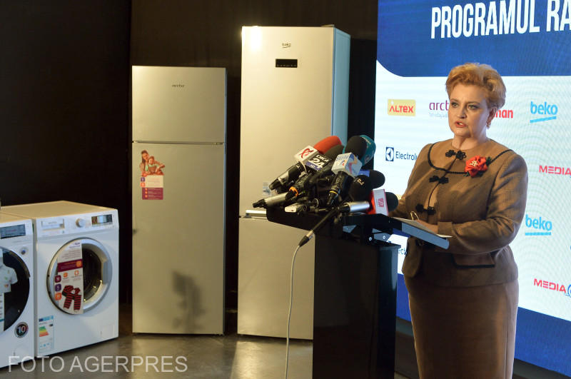 Gratiela Gavrilescu vorbind despre Rabla pentru electrocasnice, Foto: Agerpres