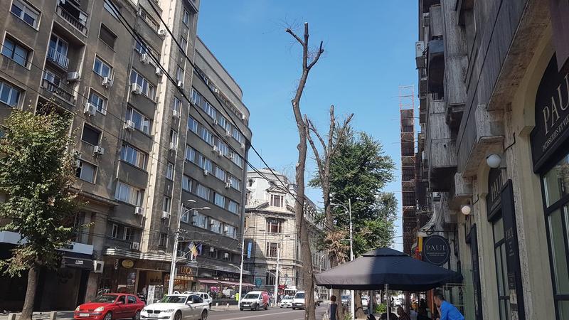 Toaletari Elisabeta 1, Foto: Hotnews