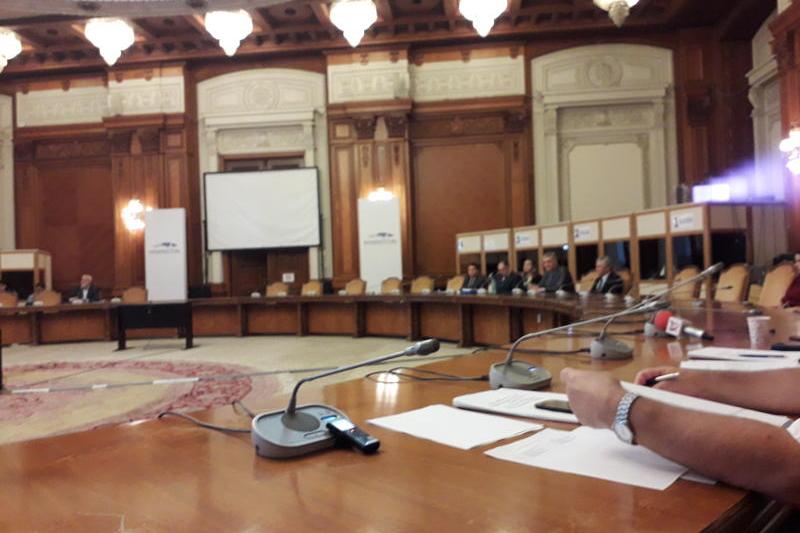 Imagine de la audierile de marti pentru Consiliul Fiscal, Foto: Hotnews