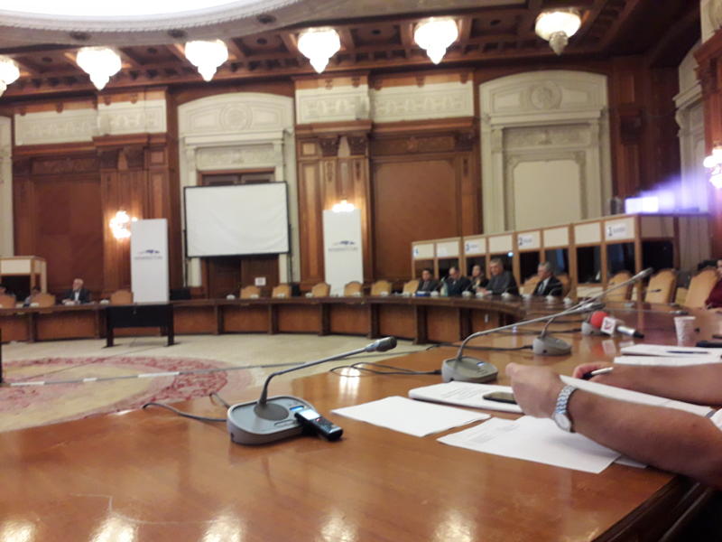 Imagine de la audierile de marti pentru Consiliul Fiscal, Foto: Hotnews