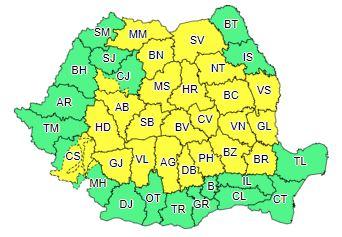 Cod galben, Foto: ANM