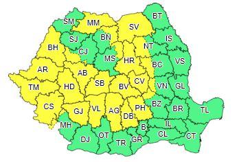 Cod galben, Foto: ANM