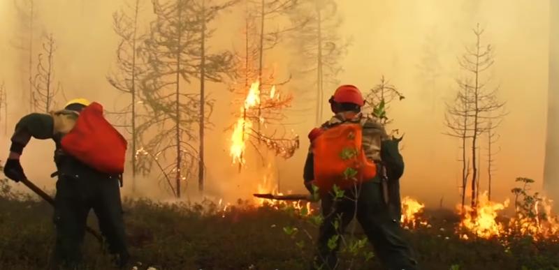 Incendii in Siberia, Foto: Captura YouTube
