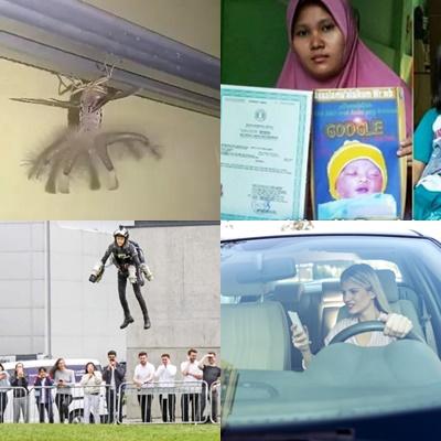 Faze tari, Foto: Colaj foto