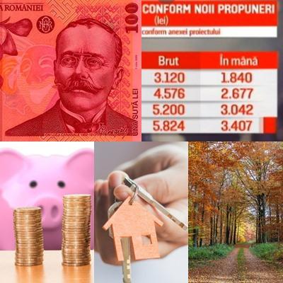 colaj business, Foto: Hotnews