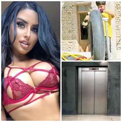 Faze tari, Foto: Colaj foto