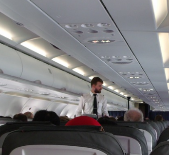 Insotitor de zbor, Foto: Flickr