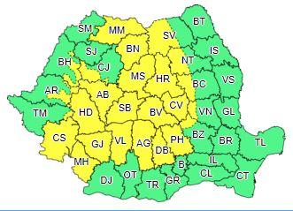 Cod galben, Foto: ANM