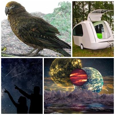 Faze tari, Foto: Colaj foto