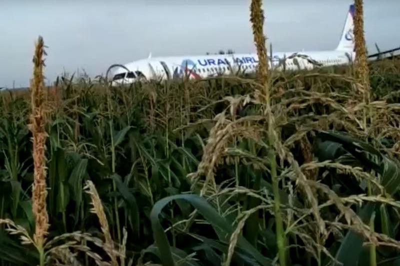 Accident aviatic Rusia, Foto: Captura YouTube