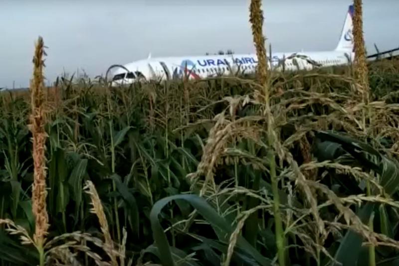 Accident aviatic Rusia, Foto: Captura YouTube