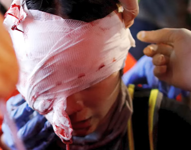 tanara simbol Hong Kong, Foto: Captura video