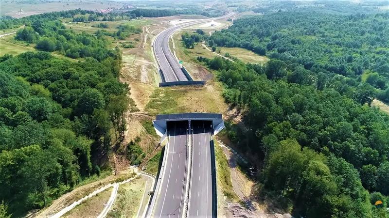 Ecoduct pe Lotul 3 Lugoj - Deva, Foto: Asociatia Pro Infrastructura