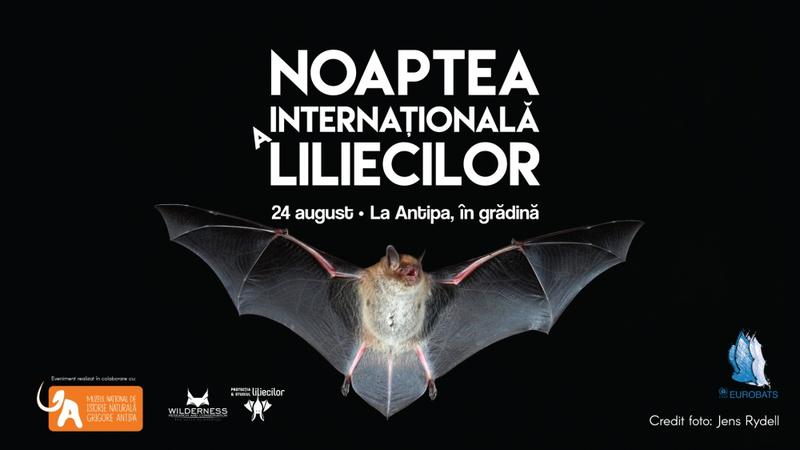 Noaptea liliecilor 2019, Foto: Muzeul Antipa