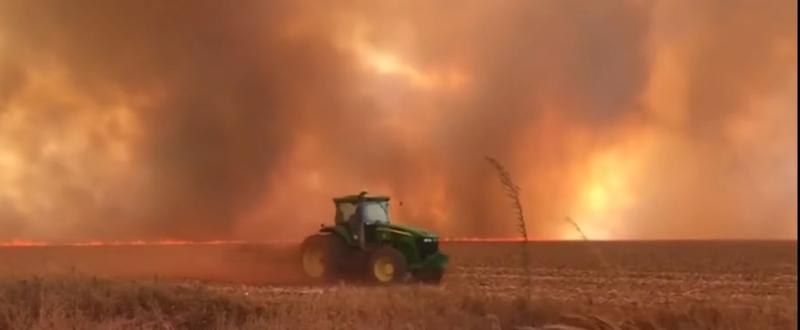 Incendiile amazoniene, Foto: Captura YouTube