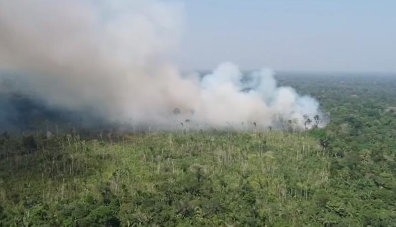 Incendii in Amazon, Foto: Captura YouTube