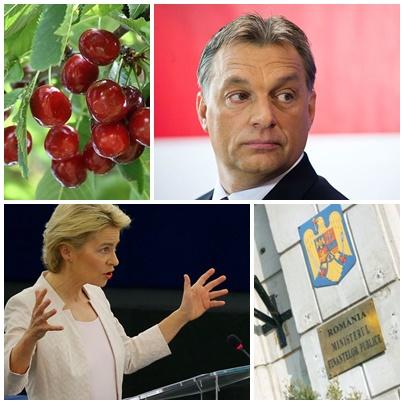 Business report, Foto: Colaj foto