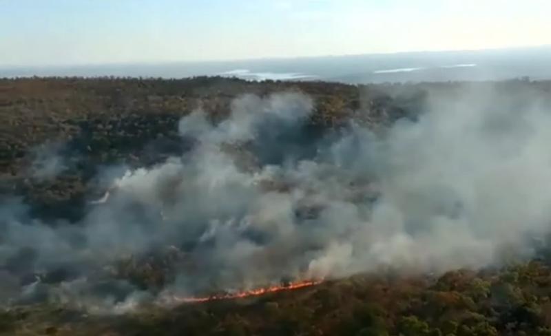 Incendii in Amazon, Foto: Captura YouTube
