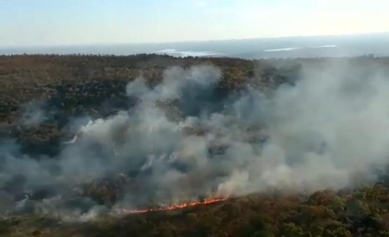 Incendii in Amazon, Foto: Captura YouTube