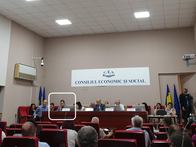 Reprezentantul Guvernului (incadrat) in sedinta CES, Foto: Hotnews