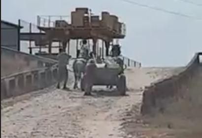 Cruzime fata de animale, Foto: Captura YouTube