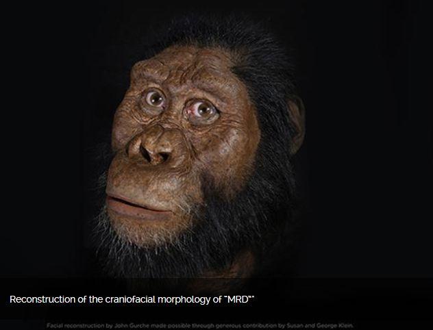 Reconstructia craniofaciala a lui MRD, Foto: Cleveland Museum of Natural History