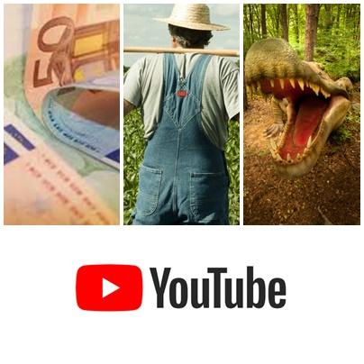 Business Report, Foto: Colaj foto