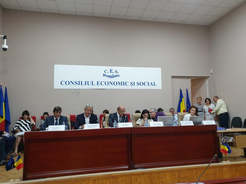 Sedinta CES, Foto: Hotnews