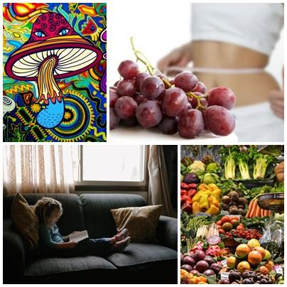 Utile, Foto: Colaj foto