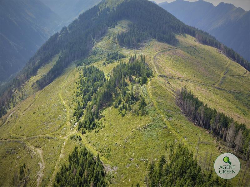 paduri, Foto: Agent Green