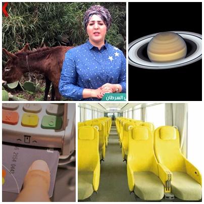 Faze tari, Foto: Colaj foto