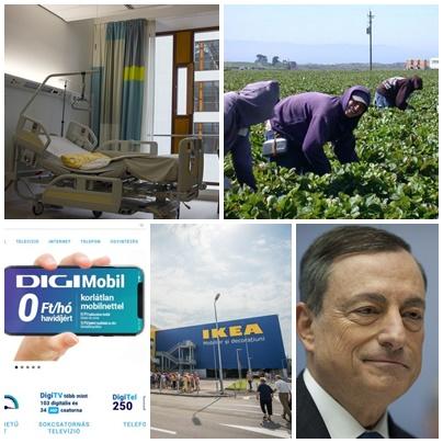 Business report, Foto: Colaj foto