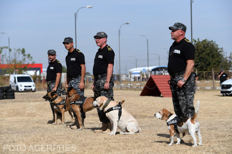 Echipe canine, Foto: AGERPRES