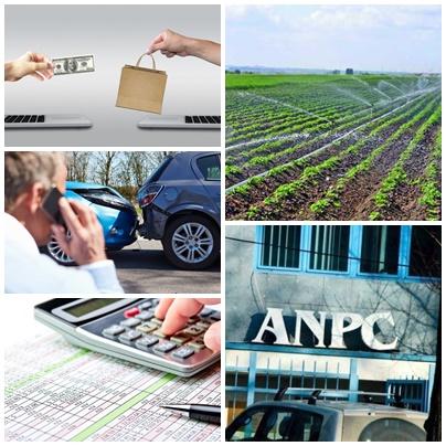 Business, Foto: Colaj foto