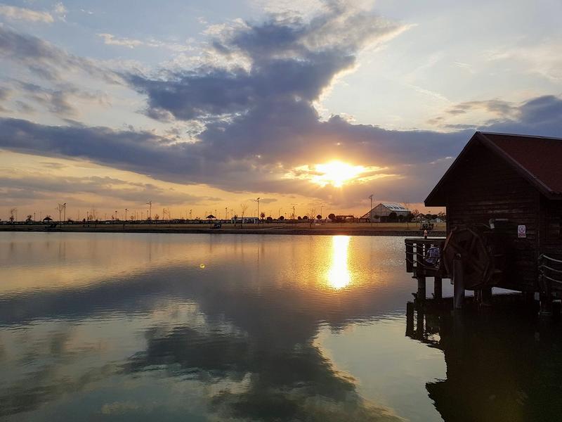 Lacul din Parcul Municipal Vest, Foto: Hotnews
