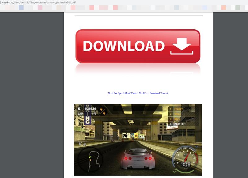 PDF cu link catre torente pe siteul la CNAIR, Foto: Hotnews