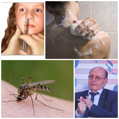 Utile, Foto: Colaj foto