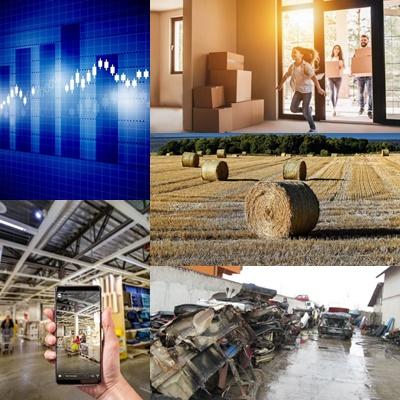 Business, Foto: Colaj foto