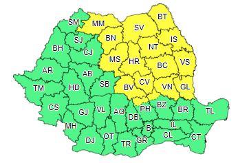 Cod galben, Foto: ANM